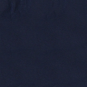 1002 blu navy